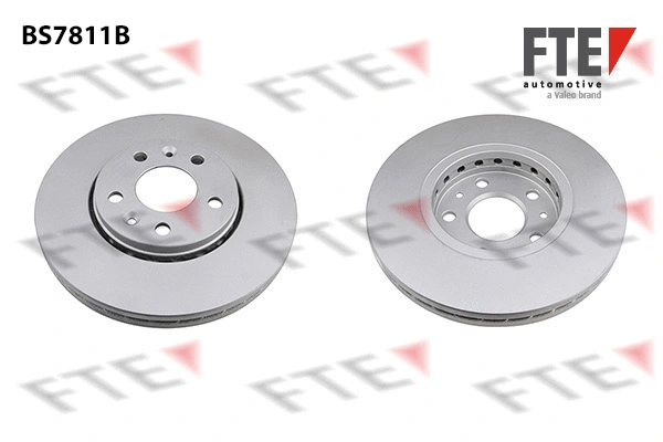 Disque de frein FTE 9081128
