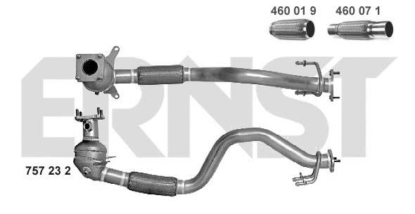 Précatalyseur ERNST 757232
