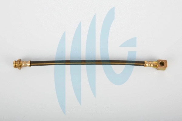 Flexible de frein RICAMBIFLEX GM 02100760