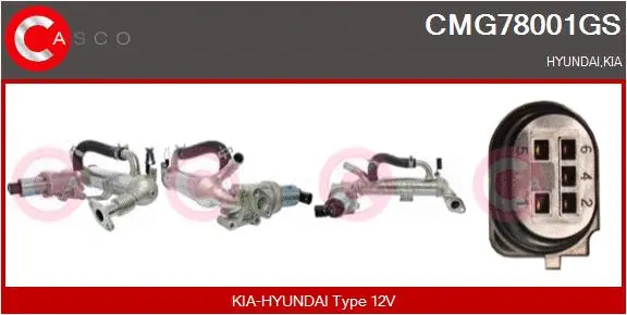 Module-EGR CASCO CMG78001GS