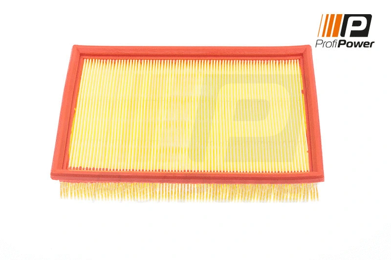 Filtre à air ProfiPower 2F0121