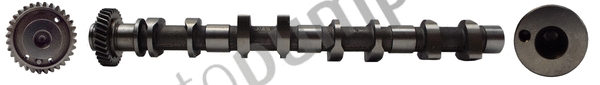 Arbre à came Autopumps UK AC8199