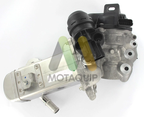 Vanne EGR MOTAQUIP LVER365