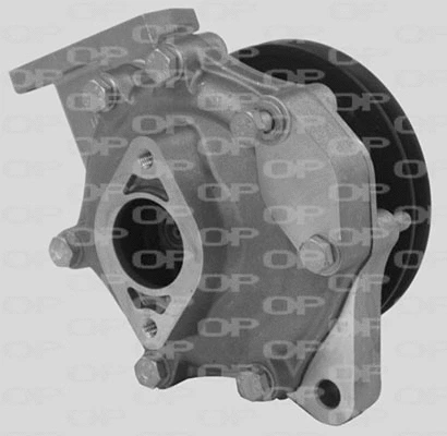 Pompe à eau, refroidissement du moteur OPEN PARTS WAP8134.10