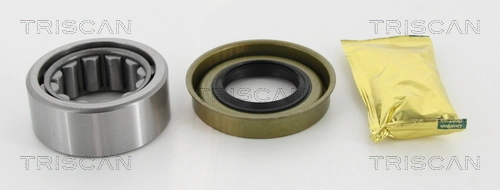 Kit de roulements de roue TRISCAN 8530 16268