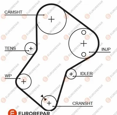 Courroie crantée EUROREPAR 1633127680