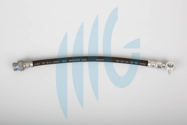 Flexible de frein RICAMBIFLEX GM 02160962