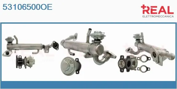 Module-EGR REAL 53106500OE