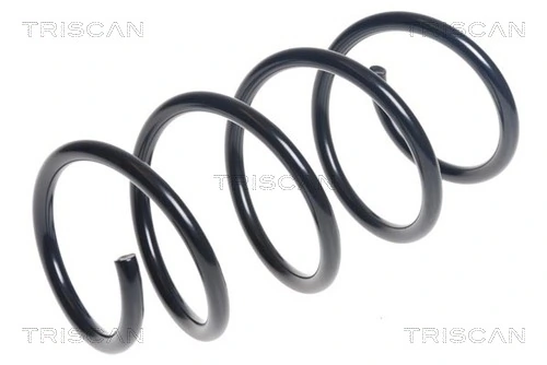 Ressort de suspension TRISCAN 8750 29397