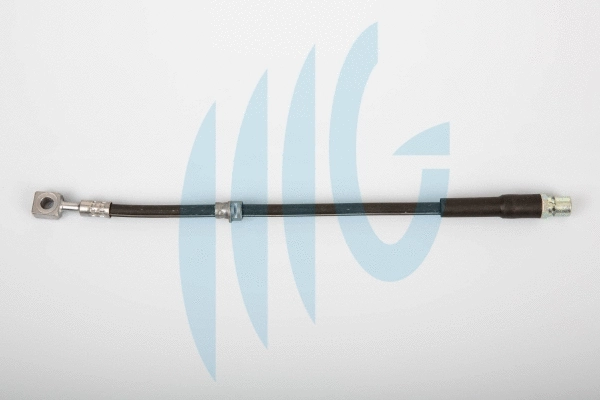 Flexible de frein RICAMBIFLEX GM 02360495