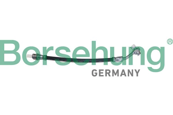 Flexible de frein Borsehung B10949