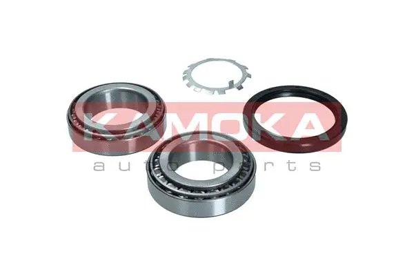 Kit de roulements de roue KAMOKA 5600191