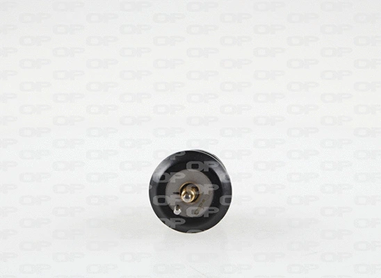 Thermostat, liquide de refroidissement OPEN PARTS TRM1125.00