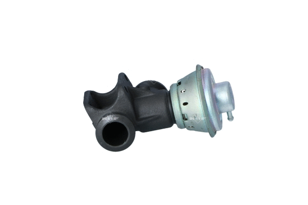 Vanne EGR WILMINK GROUP WG2161864
