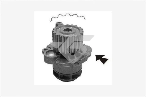 Pompe à eau, refroidissement du moteur HUTCHINSON WP0071V