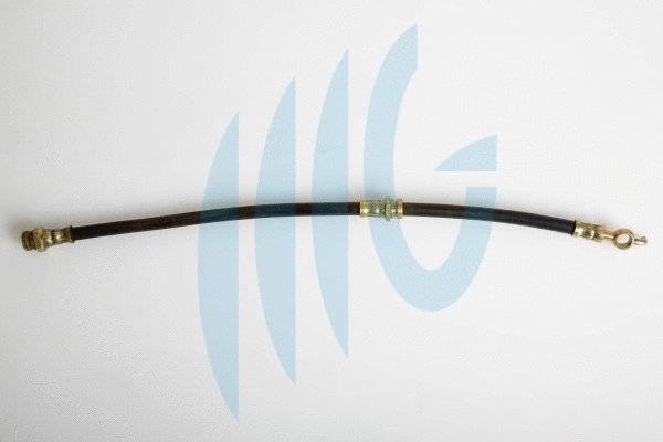 Flexible de frein RICAMBIFLEX GM 02300853