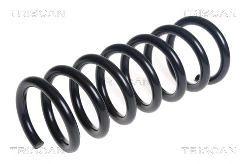Ressort de suspension TRISCAN 8750 16192