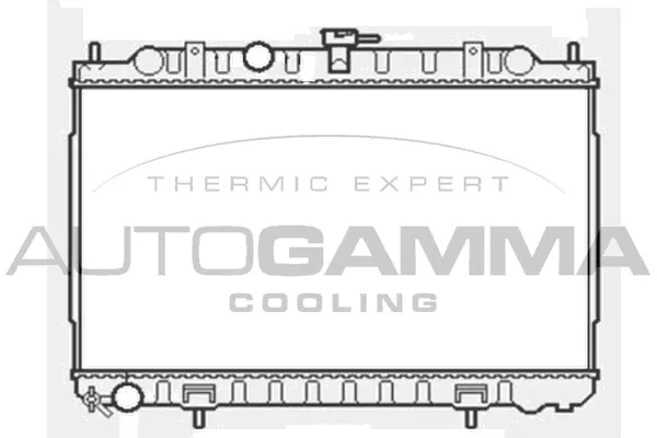 Radiateur, refroidissement du moteur AUTOGAMMA 103347