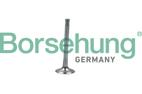 Soupape d'émission Borsehung B19008