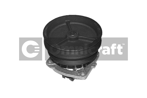 Pompe à eau, refroidissement du moteur Omnicraft 2317085