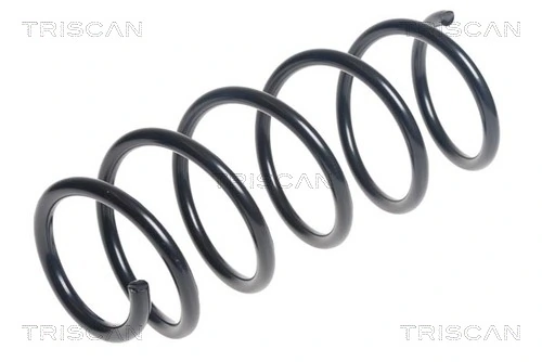 Ressort de suspension TRISCAN 8750 15206