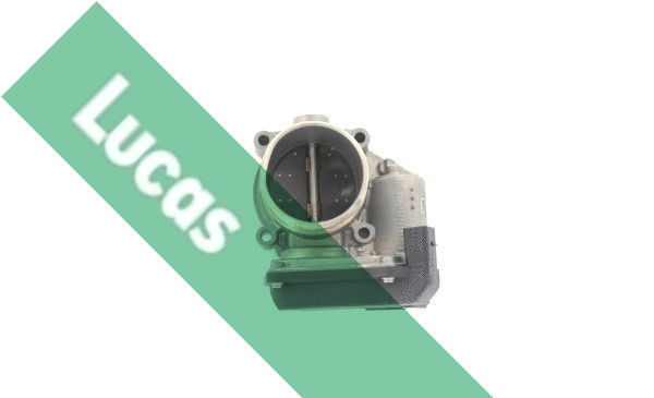 Corps papillon LUCAS LTH454