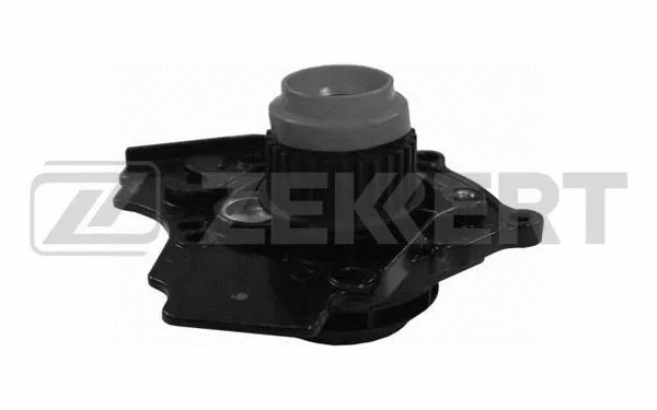 Pompe à eau, refroidissement du moteur ZEKKERT WP-1017