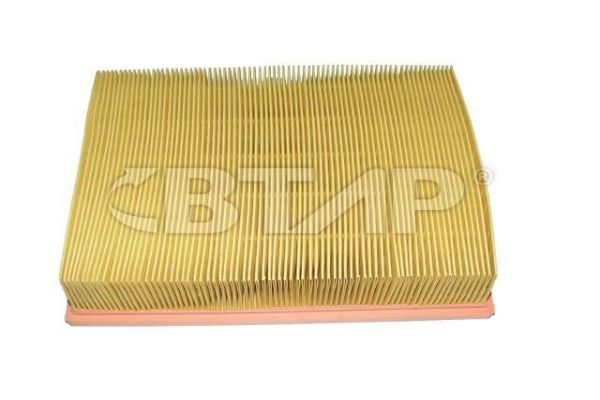 Filtre à air BTAP BBE301-004