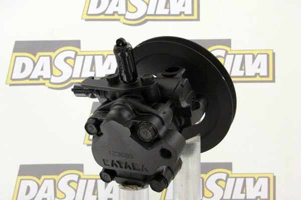 Pompe hydraulique, direction DA SILVA DP2967