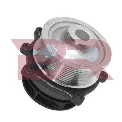 Pompe à eau, refroidissement du moteur BOTTO RICAMBI BRAC3937