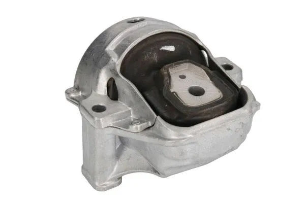 Support moteur REINHOCH RH11-0142