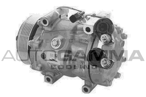Compresseur, climatisation AUTOGAMMA 118719