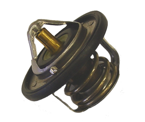 Thermostat, liquide de refroidissement BorgWarner (Wahler) 410229.82D