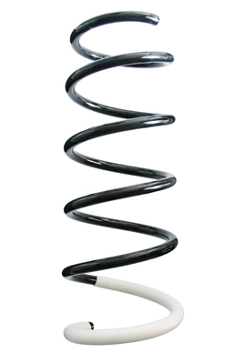Ressort de suspension SPIDAN 87034
