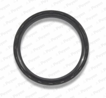 Bague d'étanchéité, vilebrequin WILMINK GROUP WG1183268