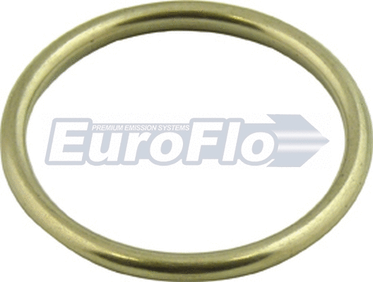 Joint, tuyau d'échappement EuroFlo EMG067