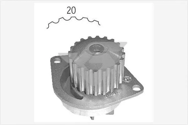 Pompe à eau, refroidissement du moteur HUTCHINSON WP0017V