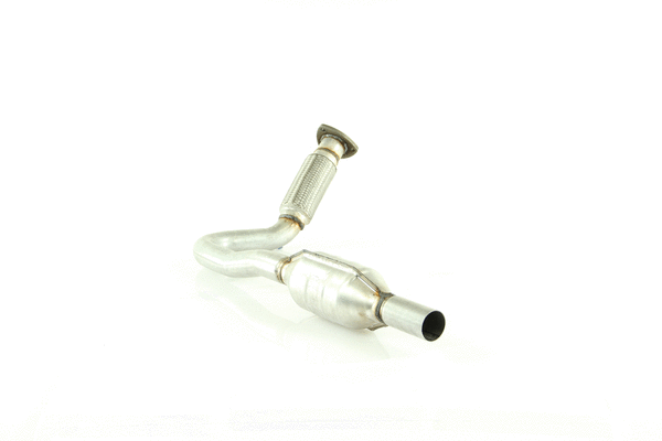Catalyseur WALKER 20552
