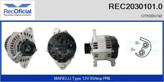 Alternateur RECOFICIAL REC2030101.0