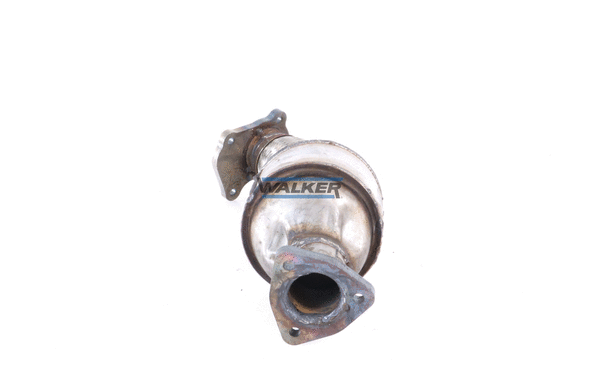 Catalyseur WALKER 20162