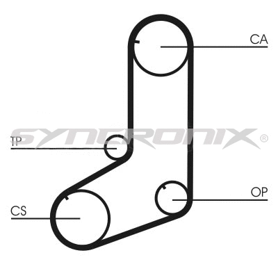 Courroie crantée SYNCRONIX SY0801N
