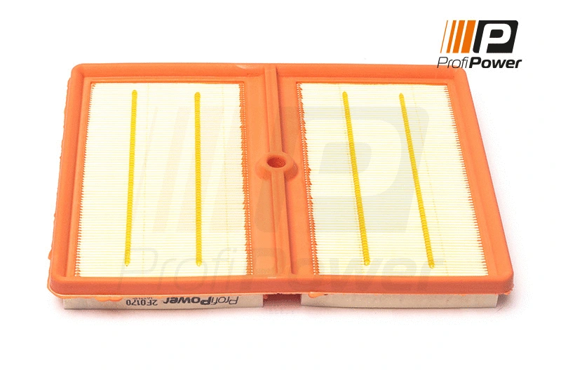 Filtre à air ProfiPower 2F0170