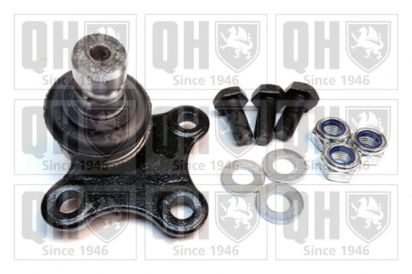 Rotule de suspension QUINTON HAZELL QSJ3885S