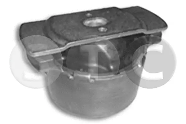 Suspension, corps de l'essieu STC T453969