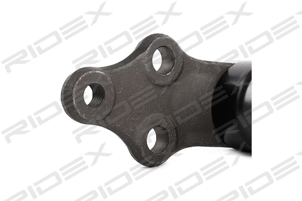 Rotule de suspension RIDEX 2462S0281