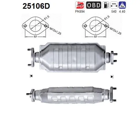 Catalyseur AS 25106D