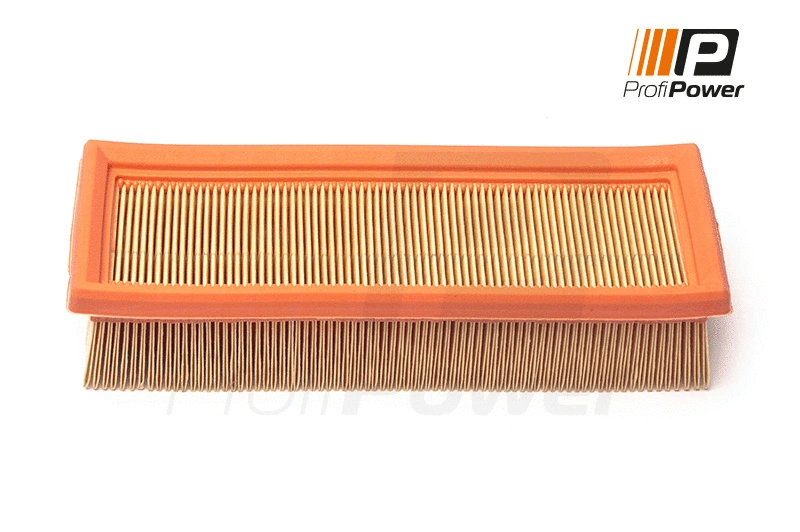 Filtre à air ProfiPower 2F0171
