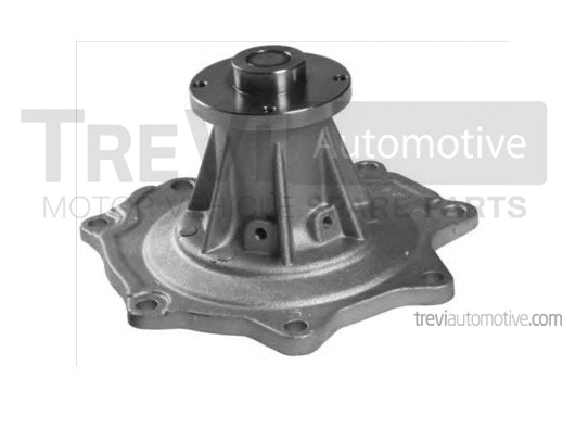 Pompe à eau, refroidissement du moteur TREVI AUTOMOTIVE TP1095
