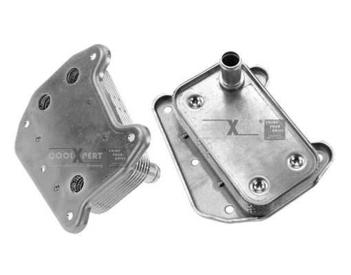 Radiateur d'huile BBR Automotive 001-60-01008