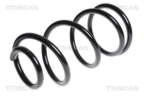 Ressort de suspension TRISCAN 8750 16076